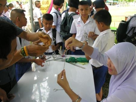 ภาพกิจกรรม