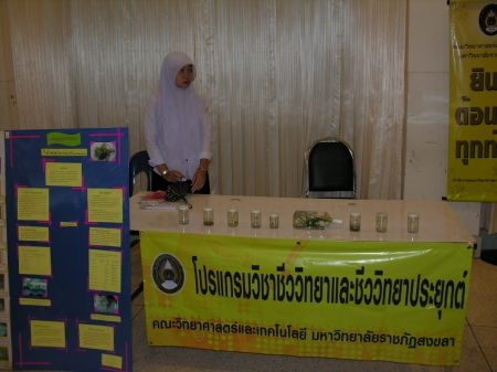 ภาพกิจกรรม