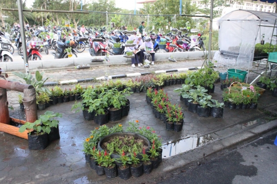 ภาพกิจกรรม