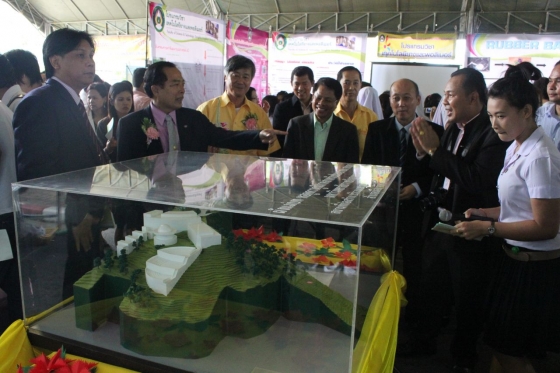 ภาพกิจกรรม