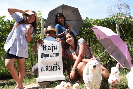 ภาพกิจกรรม
