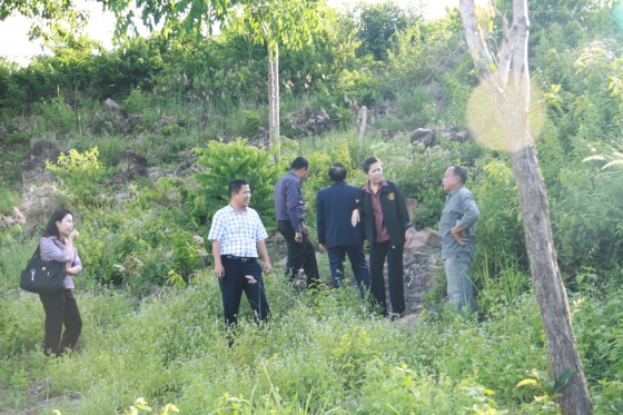 ภาพกิจกรรม