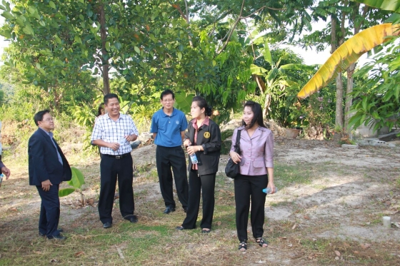 ภาพกิจกรรม