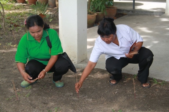 ภาพกิจกรรม