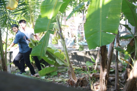 ภาพกิจกรรม