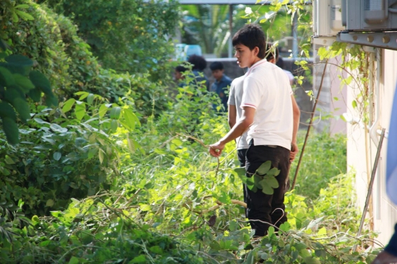 ภาพกิจกรรม