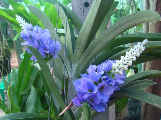 ภาพกิจกรรม