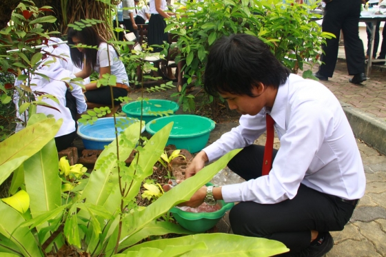 ภาพกิจกรรม