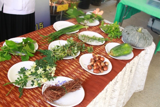 ภาพกิจกรรม