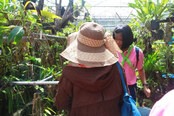 ภาพกิจกรรม