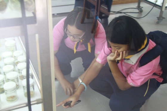 ภาพกิจกรรม