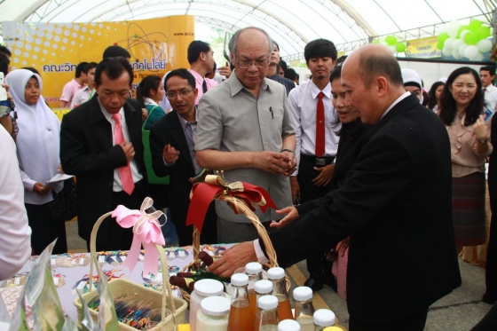 ภาพกิจกรรม