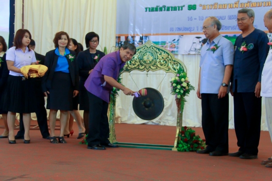 ภาพกิจกรรม