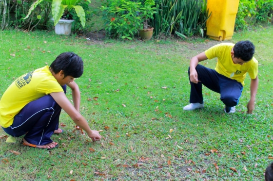 ภาพกิจกรรม