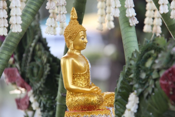 ภาพกิจกรรม