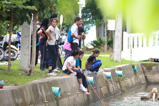 ภาพกิจกรรม