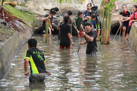 ภาพกิจกรรม
