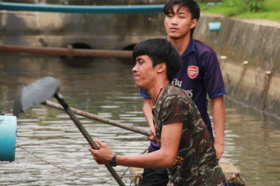 ภาพกิจกรรม