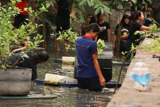 ภาพกิจกรรม