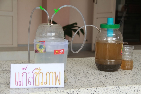 ภาพกิจกรรม