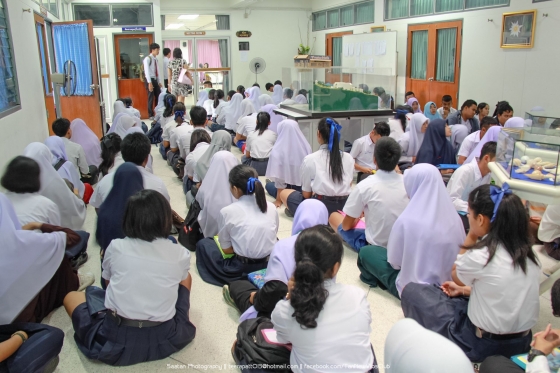 ภาพกิจกรรม