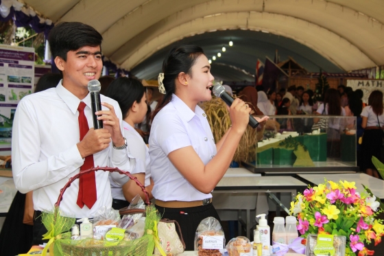 ภาพกิจกรรม