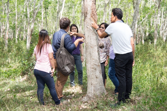 ภาพกิจกรรม