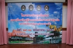 Cover Album