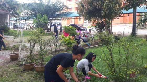 ภาพกิจกรรม
