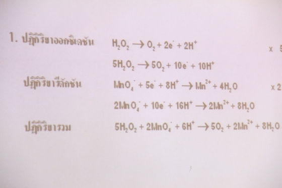 ภาพกิจกรรม