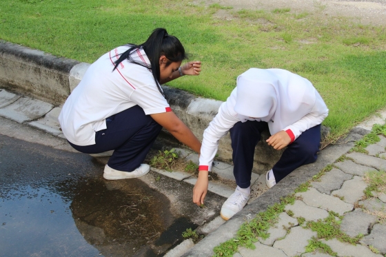 ภาพกิจกรรม