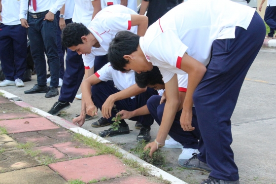 ภาพกิจกรรม