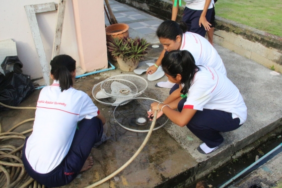 ภาพกิจกรรม