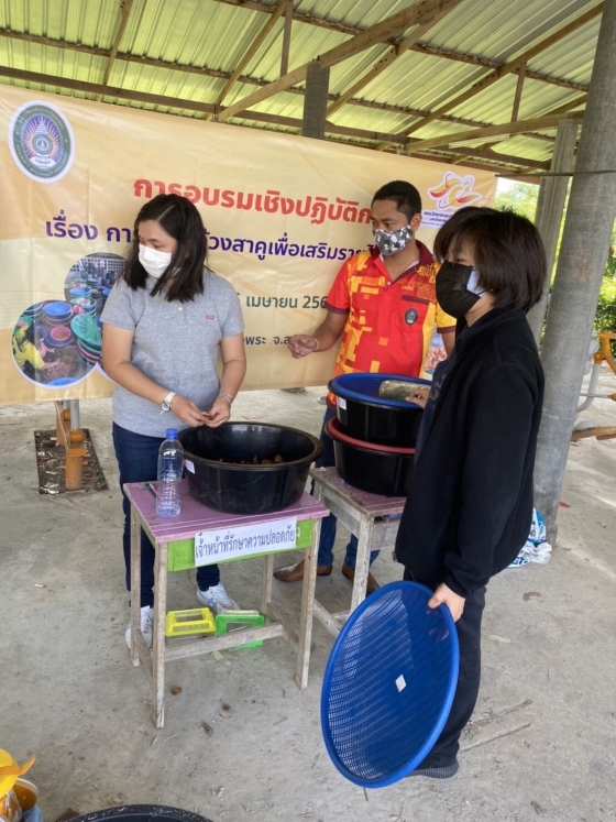 ภาพกิจกรรม